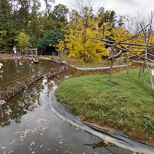 Lemur + flamingo outdoor exhibit