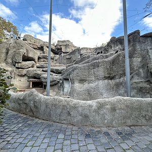 Little Rock Walkthrough Aviary