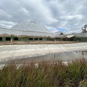 Bactrian Camel Exhibit - Biodome