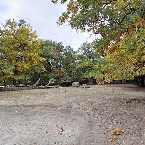 Capybara + South American tapir exhibit