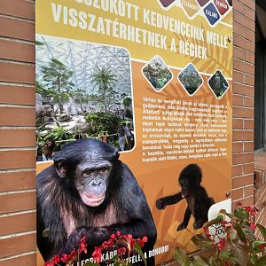 Future Plans for Biodome