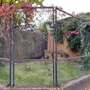 Cuban hutia outdoor exhibit