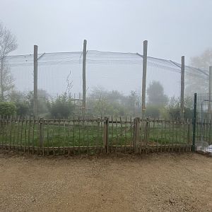 Back of Sumatran tiger enclosure