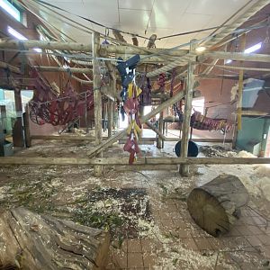 Indoor gorilla enclosure