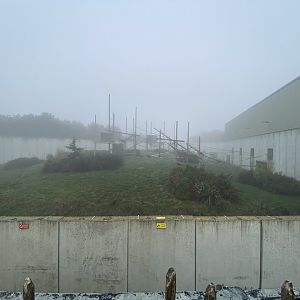 Outdoor chimpanzee enclosure