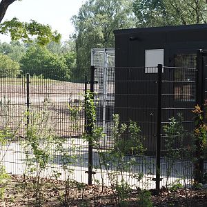 New Meerkat and Bat-eared fox house and off-show cages, 2025-04-30