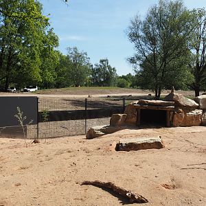 New Meerkat and South African bat-eared fox exhibit, with mixed savanna exhibit (part of car safari) behind it, 2025-04-30