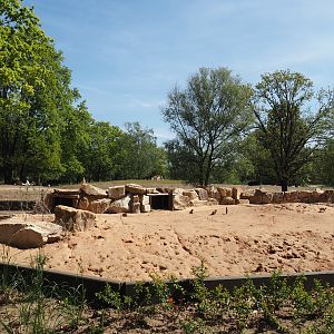 New Meerkat and South African bat-eared fox exhibit, with mixed savanna exhibit behind it, 2025-04-30