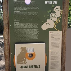 Cheetah conservation in zoos signage, 2025-04-30