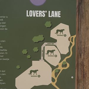 Map of cheetah exhibits, 2025-04-30