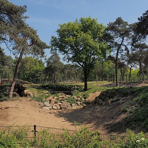 Spotted hyena exhibit, 2025-04-30