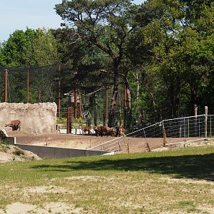 Separated area for Defassa waterbucks and Nile lechwes next to the elephant valley, 2025-04-30