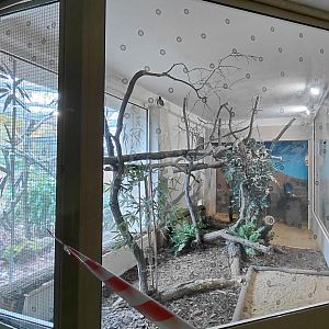 Myna + crowned pigeon indoor exhibit