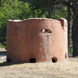 Elephant feeder in the African elephant valley, 2025-04-30