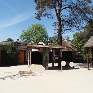 View in the African village area, 2025-04-30