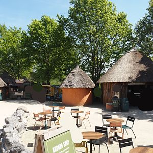 View in the African village area, 2025-04-30