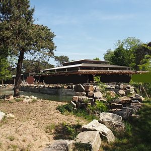 Part of Southern white rhinoceros separation paddock and Mugunda restaurant, 2025-04-30