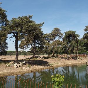Southern white rhinoceros separation paddock, 2025-04-30