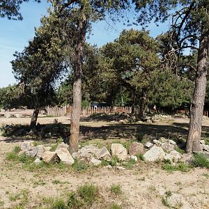 Southern white rhinoceros separation paddock, 2025-04-30