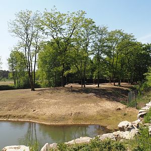 Springbok paddock, 2025-04-30