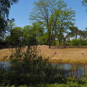 Springbok paddock, 2025-04-30