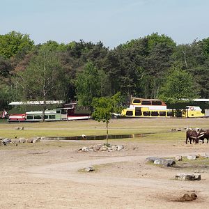 Part of the Southern white rhinoceros plains with both safari boats on the canal behind it, 2025-04-30