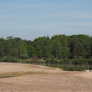 Part of the Southern white rhinoceros plains, with the now gone cheetah drive-through exhibit behind it, 2025-04-30