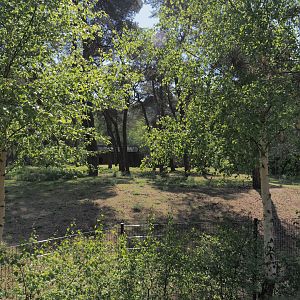 Persian gazelle paddock, 2025-04-30