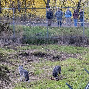 Behind the scenes tour