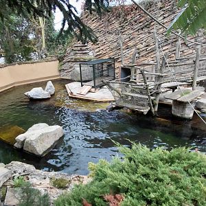 (Soon to be former) sea lion exhibit