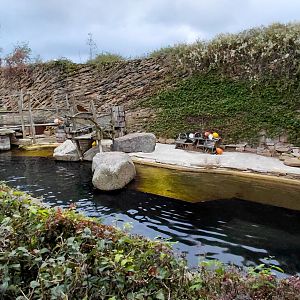 (Soon to be former) sea lion exhibit