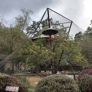 South American aviary