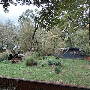 Giant anteater outdoor exhibit