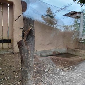 Giant anteater indoor exhibit