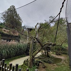 South American aviary