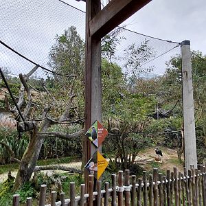 South American aviary