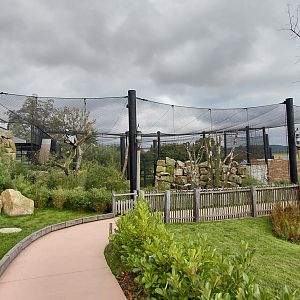 Condor + macaw aviary