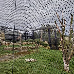 Condor + macaw aviary