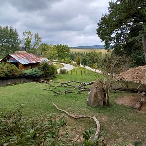 Tapir + mara exhibit