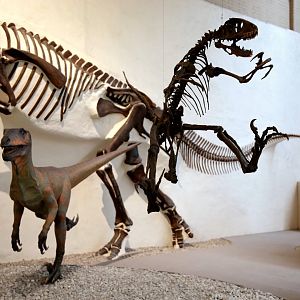 Deinonychus antirrhopus, Cast