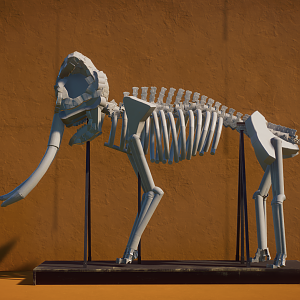 Planet Zoo Southern Mammoth Skeleton