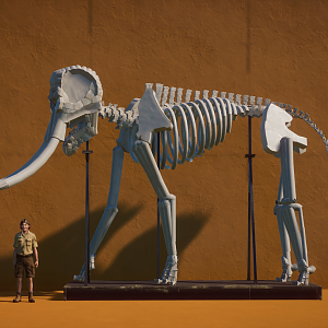 Planet Zoo African Straight Tusked Elephant Skeleton