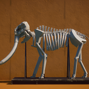 Planet Zoo African Elephant Skeleton