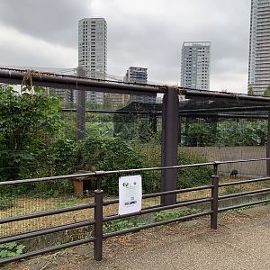 Cackling Goose Exhibit