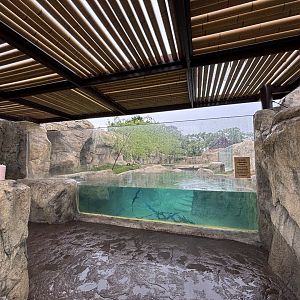 Cincinnati Zoo - Elephant Trek - Asian Small Clawed Otter and Babirusa Exhibit