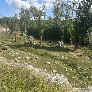 Last Frontier - Brown Bear/Wolf Exhibit