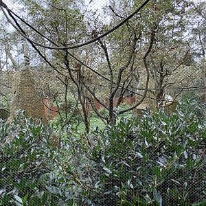 Squirrel monkey + stork outdoor exhibit