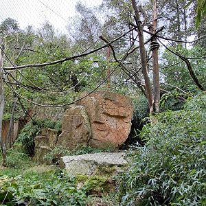 Squirrel monkey + stork outdoor exhibit