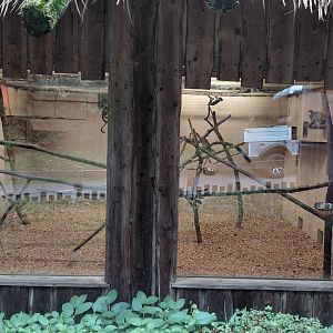 Squirrel monkey indoor exhibit