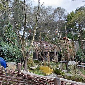 South American walkthrough aviary